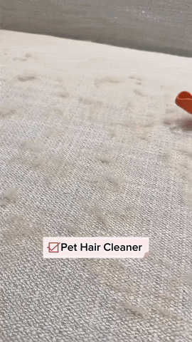 Pet Hair Cleaner