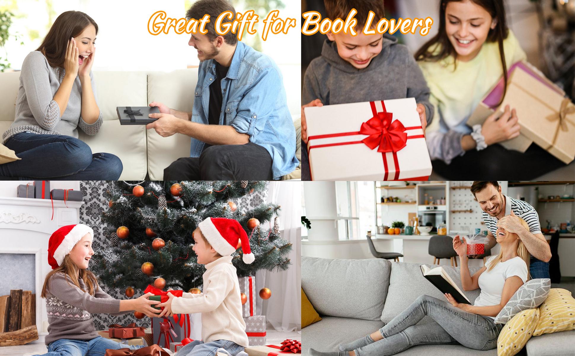 Aesthetic reading environment companion
