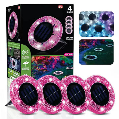 Fuchsia-Round