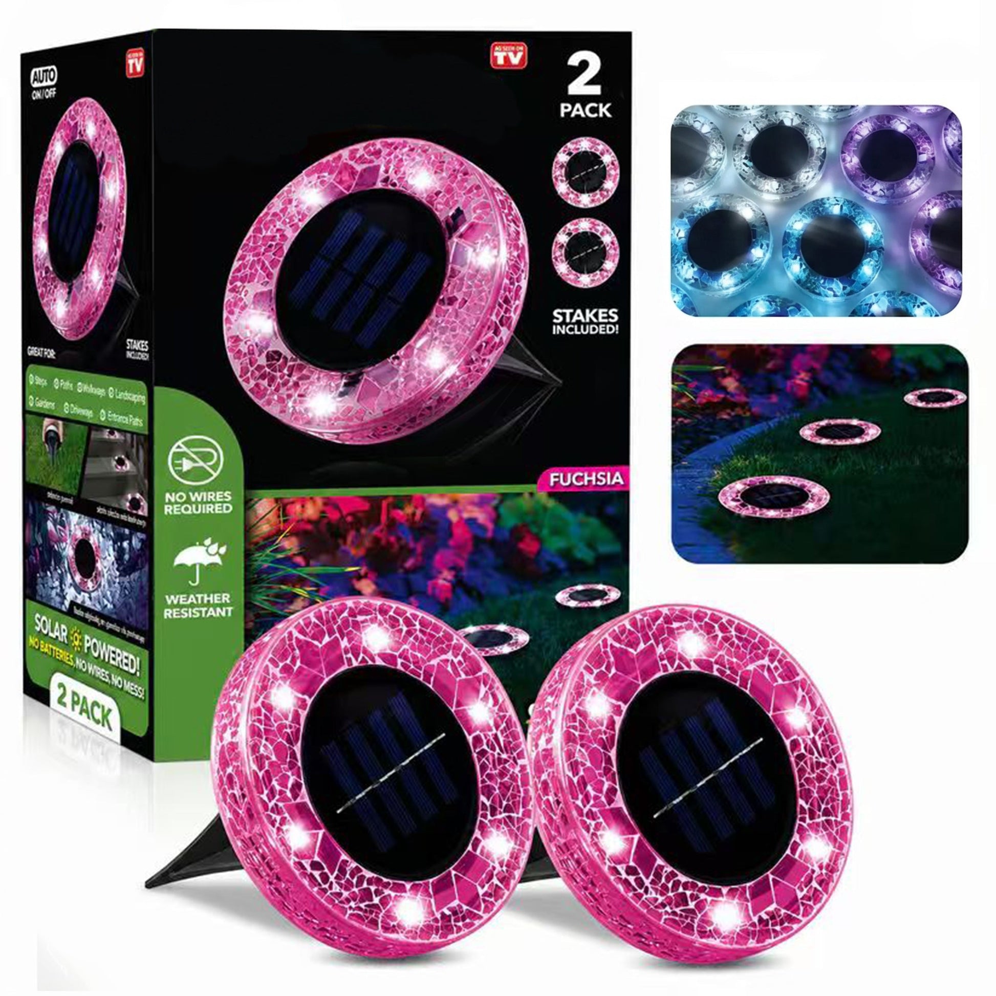 Fuchsia-Round