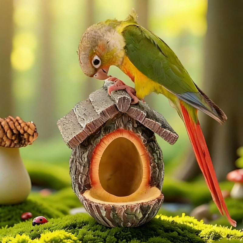 Open tray attracts many wild birds