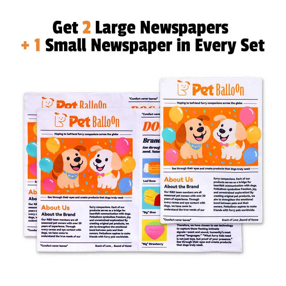Newspapers(2 Large&1 Small)