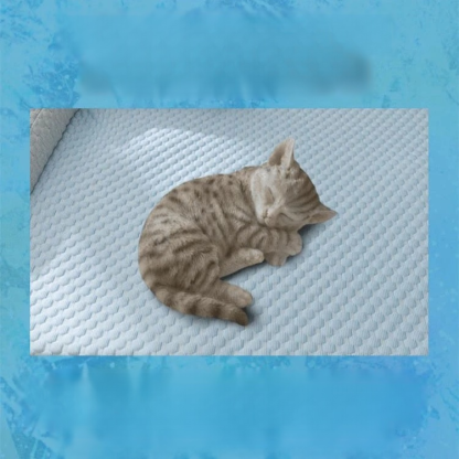 貓熊刺繡護頸枕