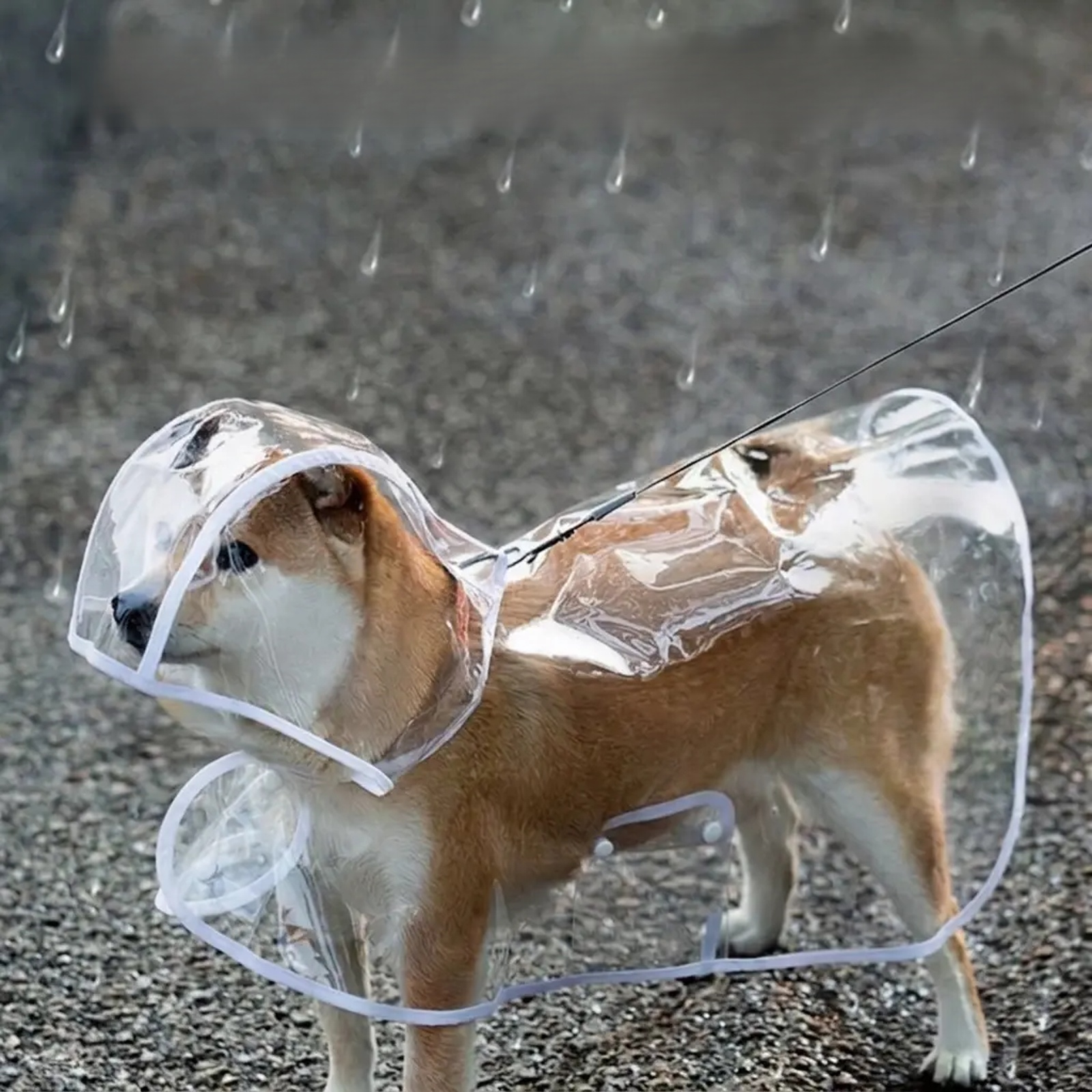 小中大型犬透明狗狗雨衣小中大型犬透明狗狗雨衣