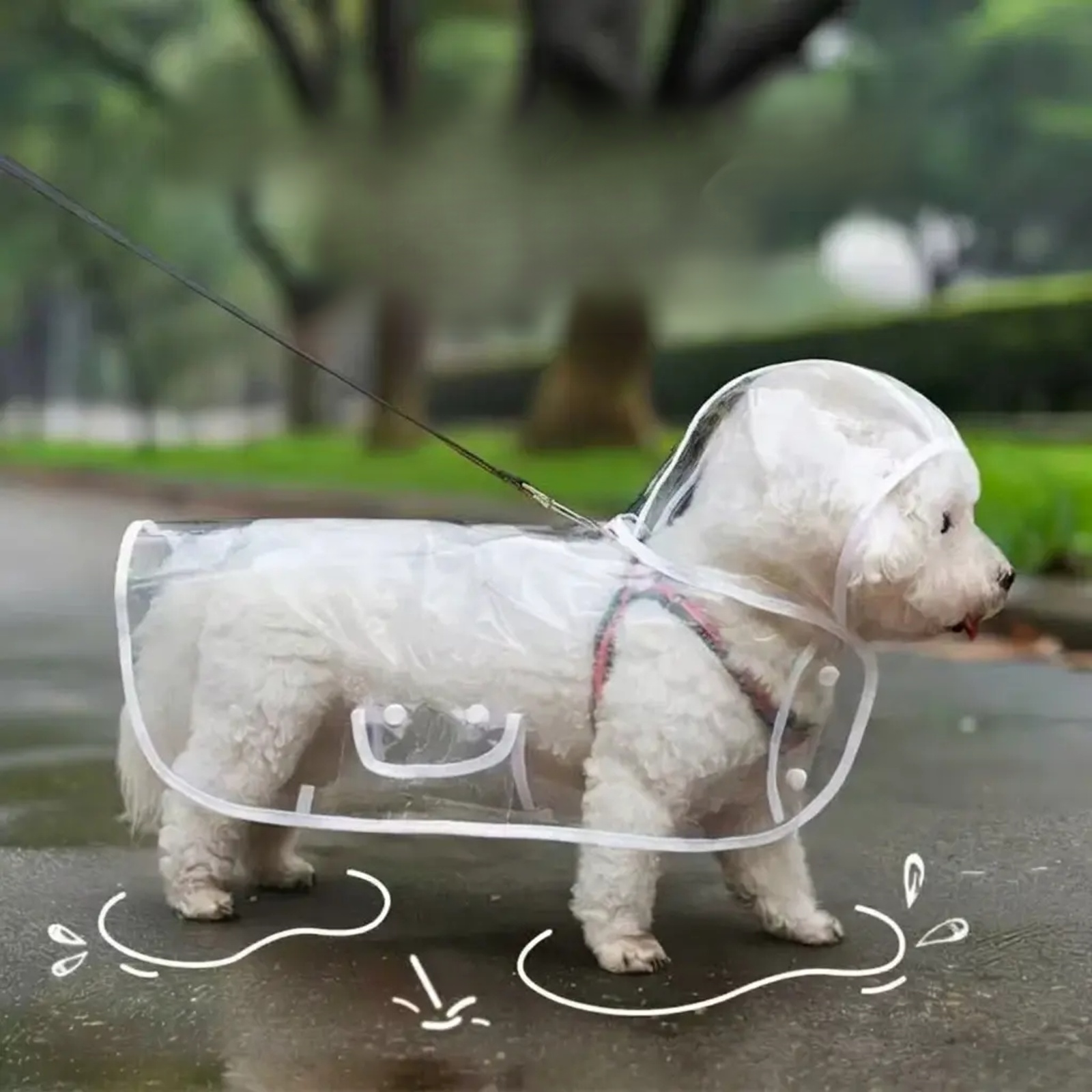 小中大型犬透明狗狗雨衣小中大型犬透明狗狗雨衣