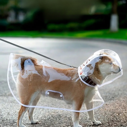 小中大型犬透明狗狗雨衣小中大型犬透明狗狗雨衣