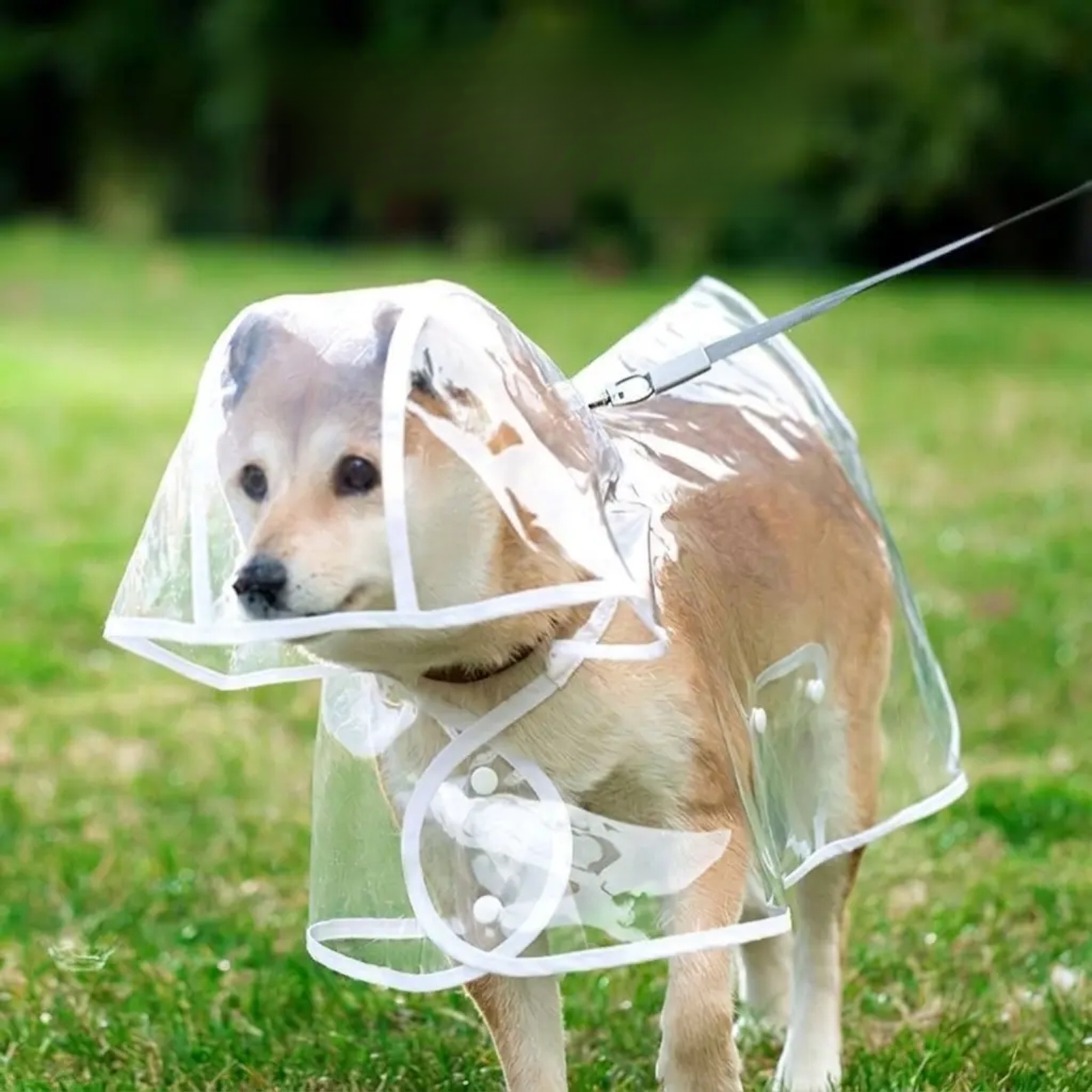小中大型犬透明狗狗雨衣小中大型犬透明狗狗雨衣