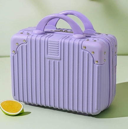 14-Inch Hand-Held Mini Suitcase