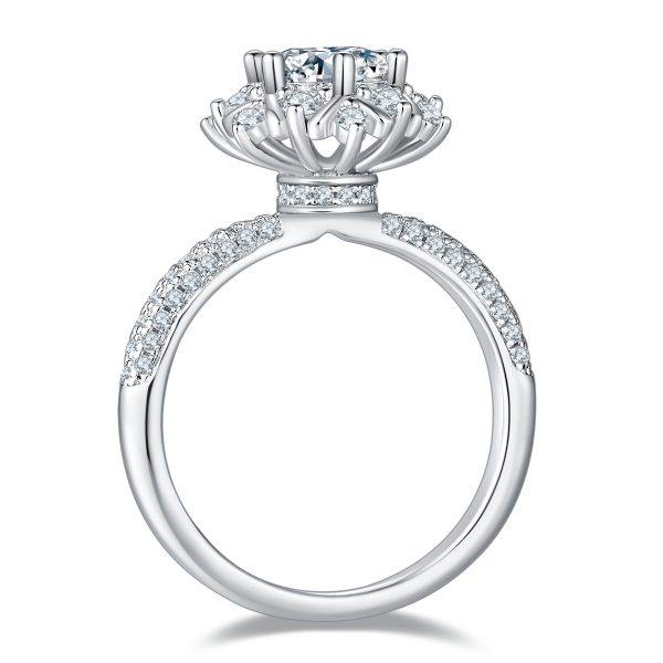 S925 Silver 1-carat exquisite zircon Ring
