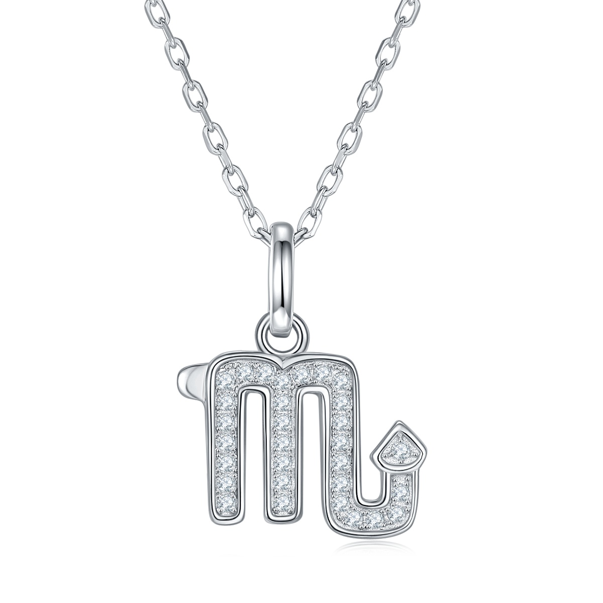 S925 Silver 12 M Zodiac Signs necklace 2026