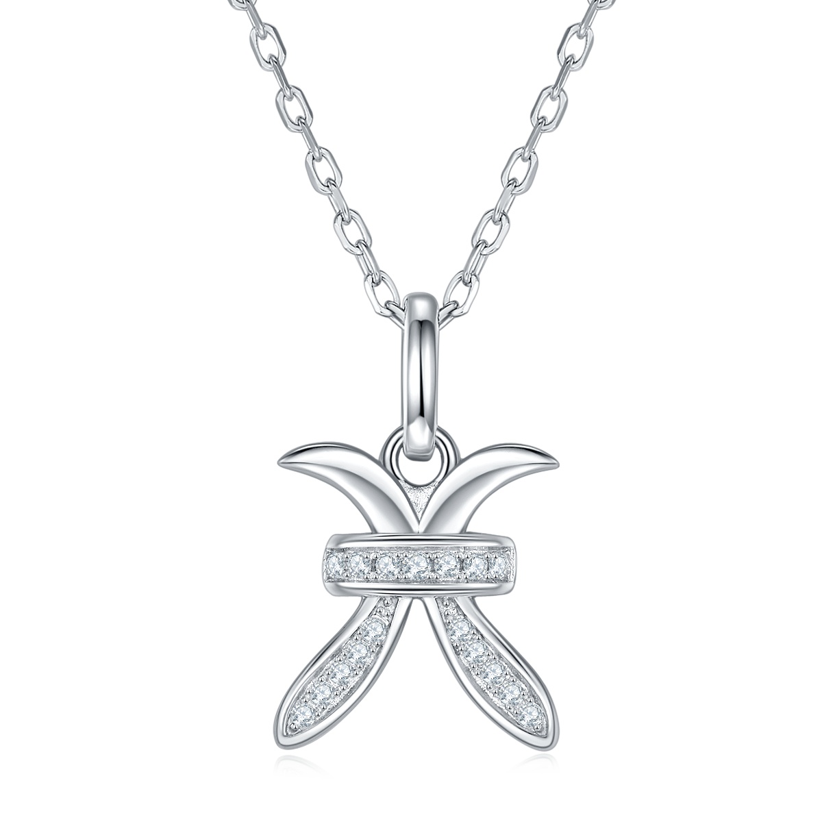 S925 Silver 12 Zodiac T T Signs Pisces Set Necklace Pendant