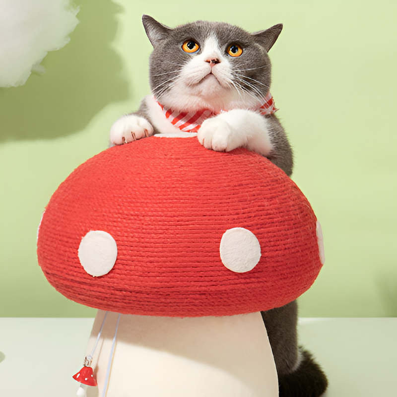 Mushroom Cat Climbing Frame