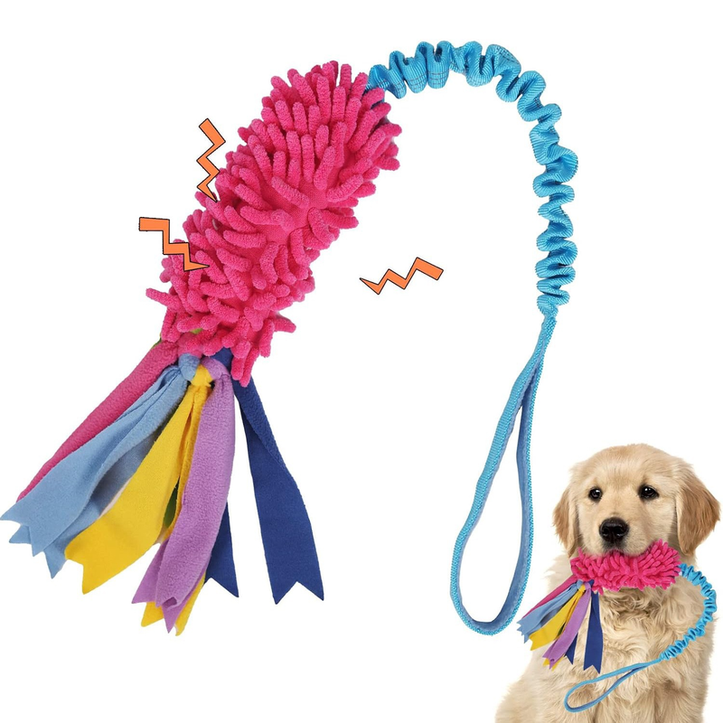 Chew-Resistant Dog Toy