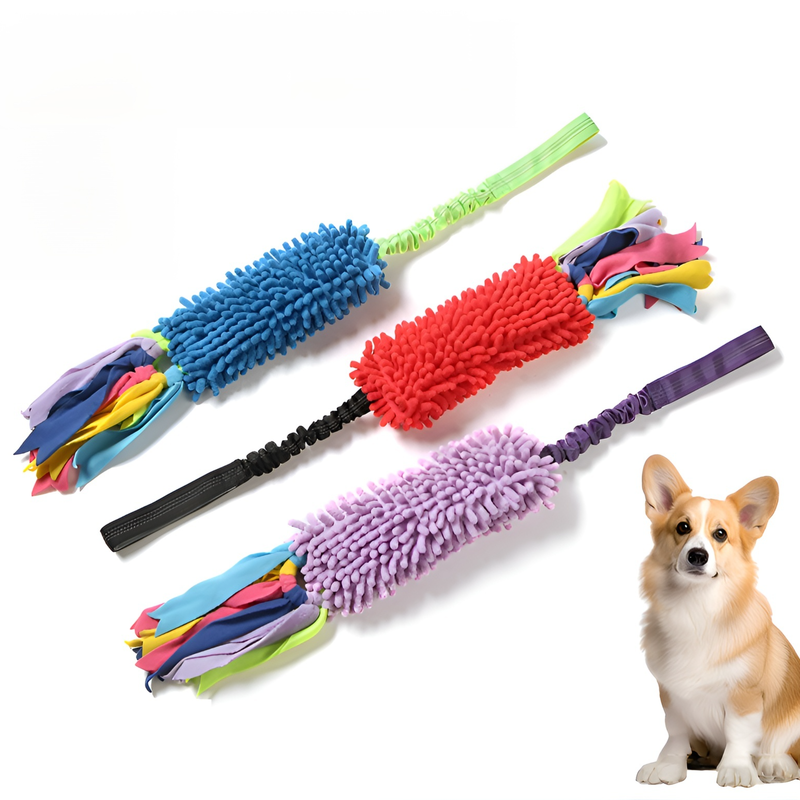 Chew-Resistant Dog Toy