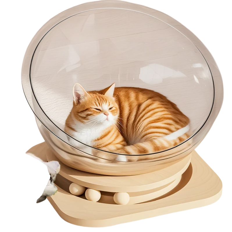 Transparent Space Capsule Cat Nest with Trackball Toys and Solid Wood Base, Pet Bed