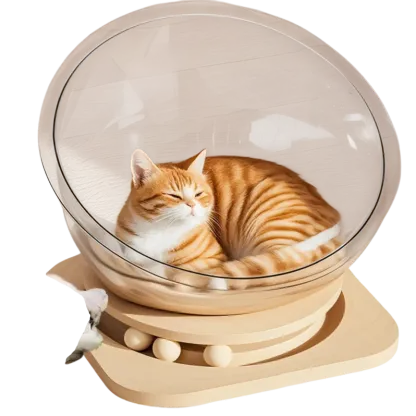 Transparent Space Capsule Cat Nest with Trackball Toys and Solid Wood Base, Pet Bed