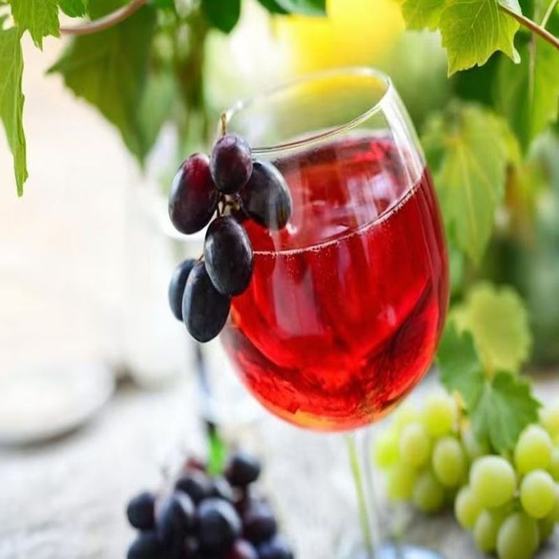 波龍堡 2022 佳鳥有機乾紅葡萄酒 12.5% vol｜750mL｜Chateau Bolongbao  Jia Niao Organic Dry Red Wine 