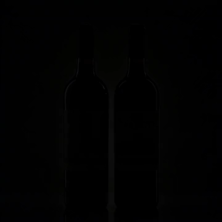 張裕紅酒 多名利印象老門頭乾紅 國產赤霞珠葡萄酒750mlx2樽