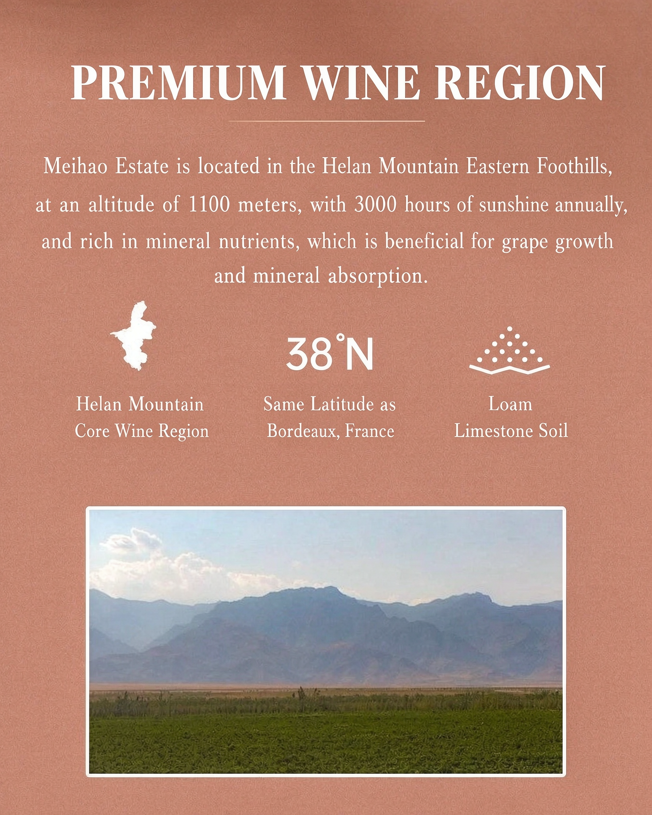 美賀莊園青黛乾紅葡萄酒 750ml×615%vol.  Meihe Manor QingDai Dry Red Wine