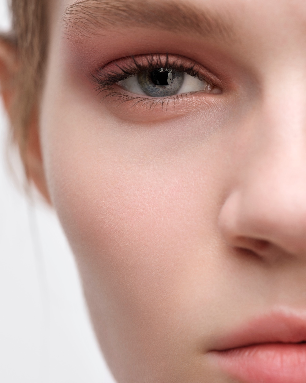 プラダ Dimensions Holo Nude Eye Palette - 08 - PANSY