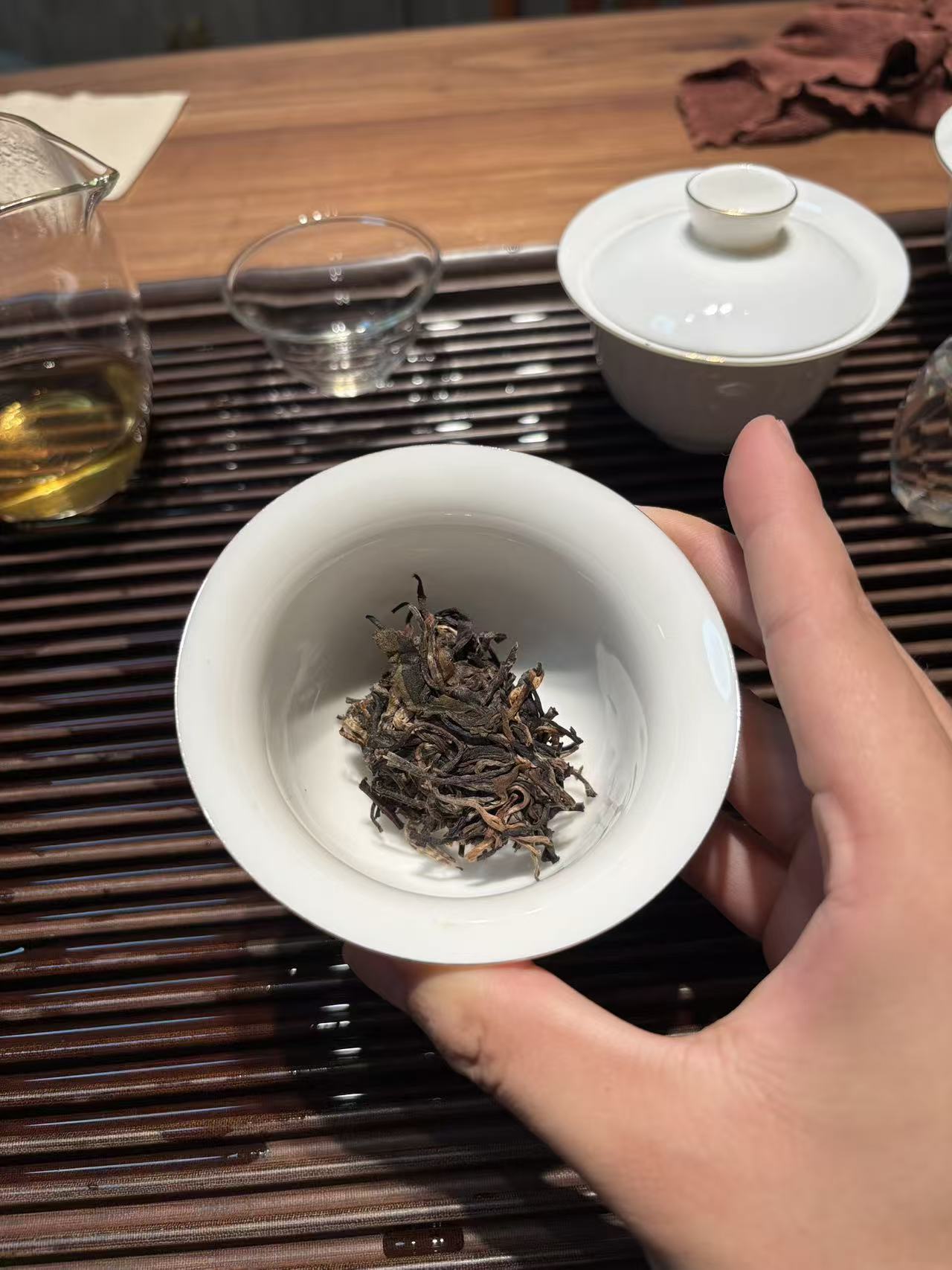 2019年曼松背阴山混采