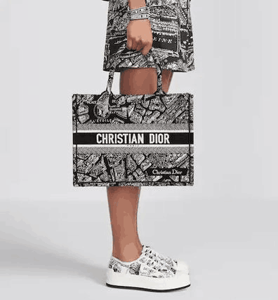 新作！即発！DIOR ブックトート ミディアムバッグ Plan de Paris