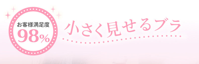 大きいサイズブラ 小さく見せるブラ VEIMIA