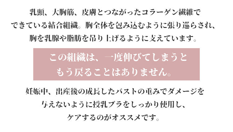 授乳ブラ 垂れ防止 美バストを保つ VEIMIA