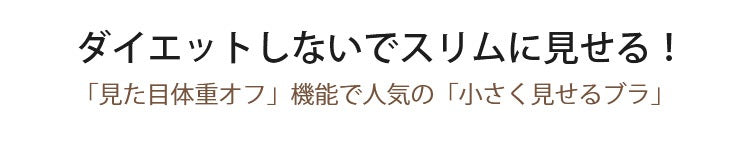 下着セット 激安 スリムに見せる ヴェーミア