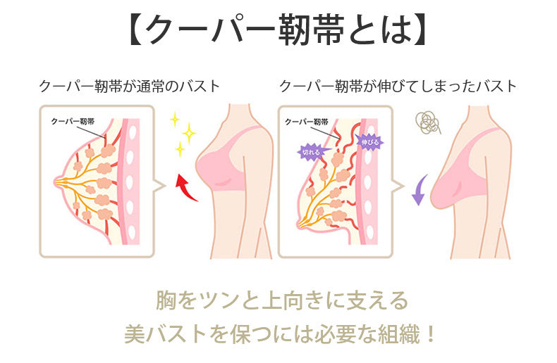 授乳ブラ おすすめ クーパー靭帯とは ヴェーミア
