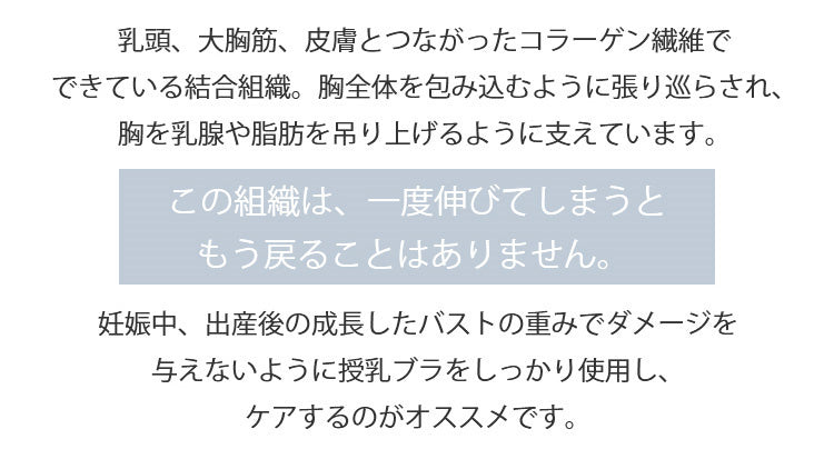 授乳ブラ 垂れ防止 胸を守る VEIMIA