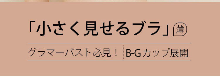 ヴェーミア胸が小さく見えるブラ 大きい胸