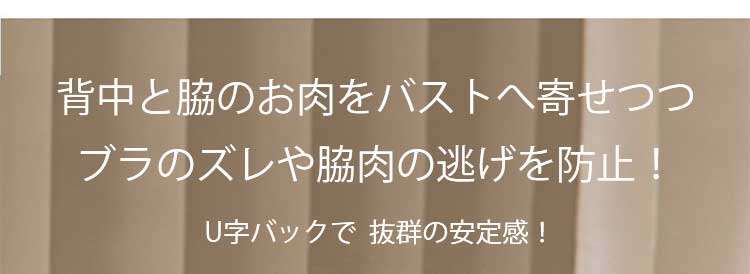 小さく見せるブラ 贅肉を収める