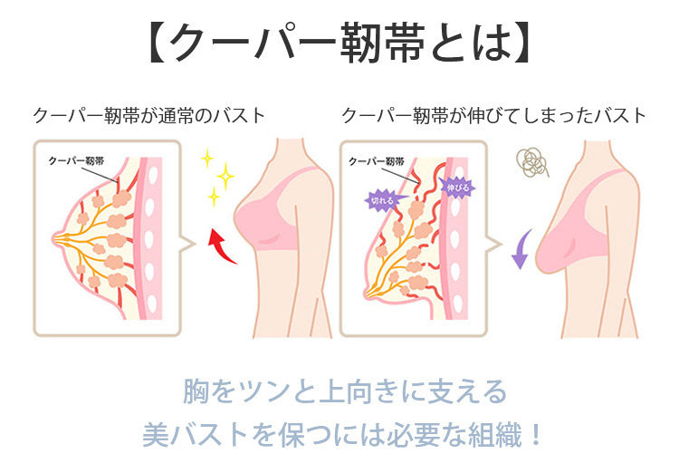 授乳ブラ 垂れ防止 クーパー靭帯 VEIMIA