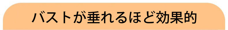 スポーツ ブラ 垂れ防止 VEIMIA