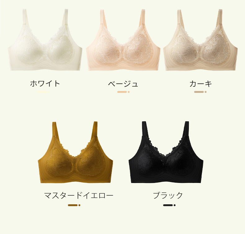 ノンワイヤーブラ カラー ヴェーミア