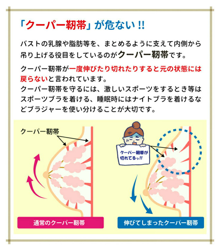 姿勢サポートブラ 美胸
