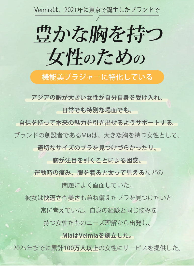 大きい サイズ ブラ 豊かな胸を持つ女性のための VEIMIA