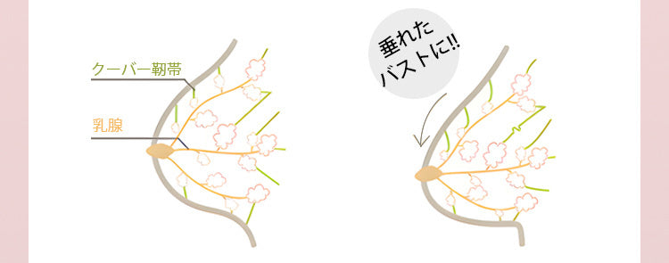 かわいいナイトブラ 垂れ防止 VEIMIA