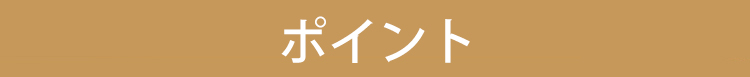 レースガードル ポイント