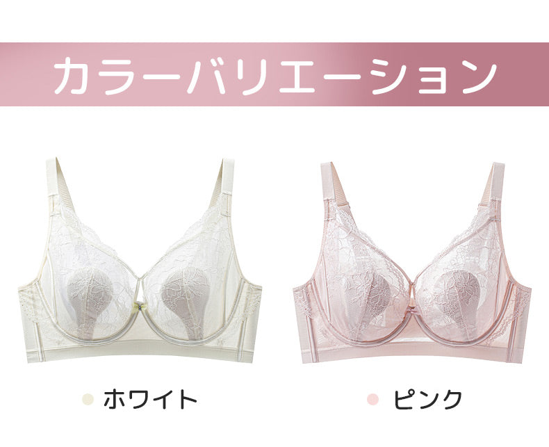 セクシー ブラ カラーバリエーション ヴェーミア