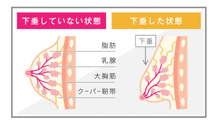 運動 ブラ バストケア VEIMIA