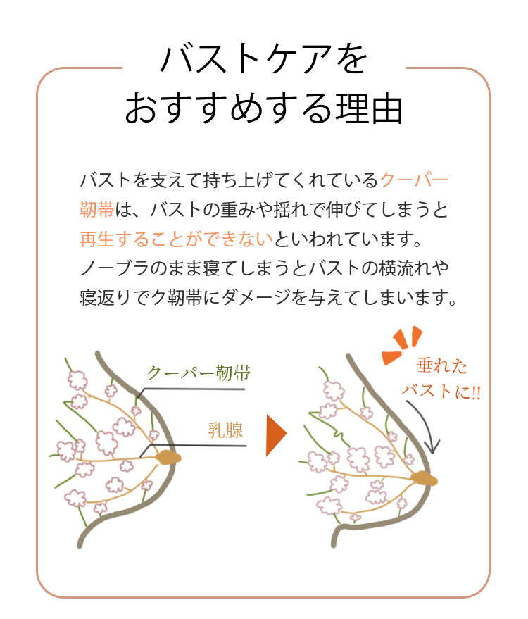 ヴェーミア美胸ブラ バストケア