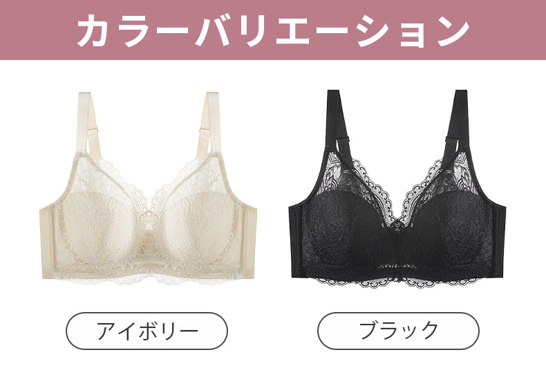 大きい サイズ ブラ カラーバリエーション VEIMIA