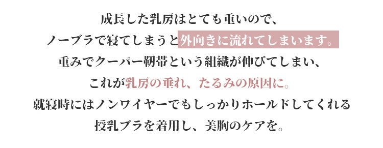 授乳ブラ 垂れ防止 美胸キープ VEIMIA