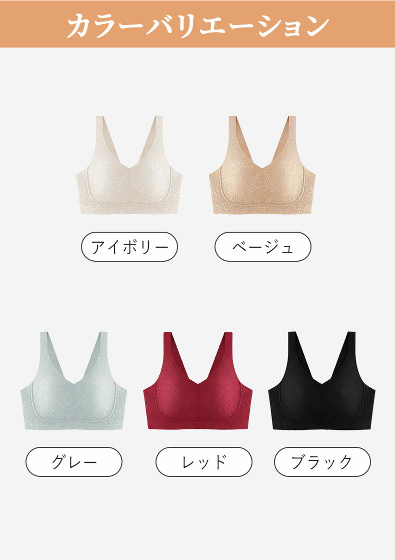 レースブラ カラーバリエーション ヴェーミア