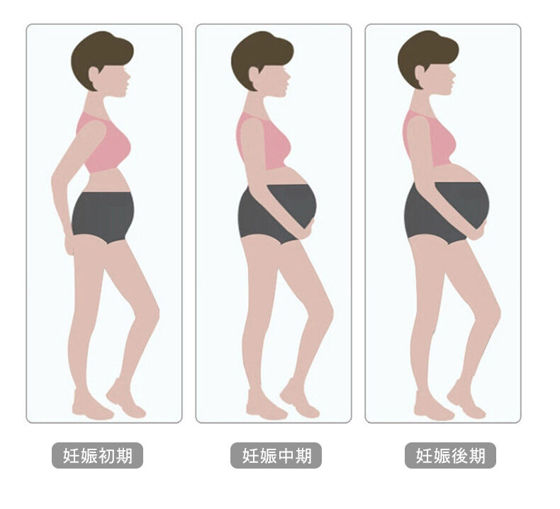 マタニティショーツ 妊娠用