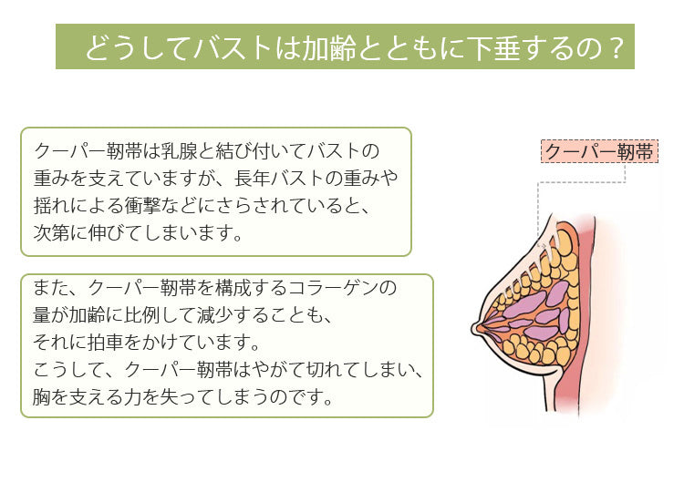 ワイヤレスブラ 垂れ乳