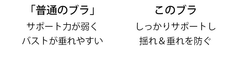 大きいサイズブラ しっかりサポート ヴェーミア
