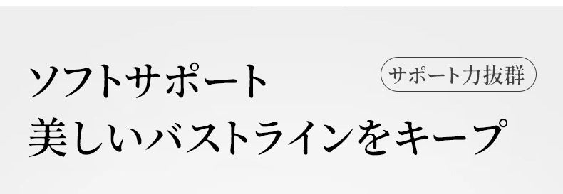 大きいサイズブラ ソフトサポート ヴェーミア